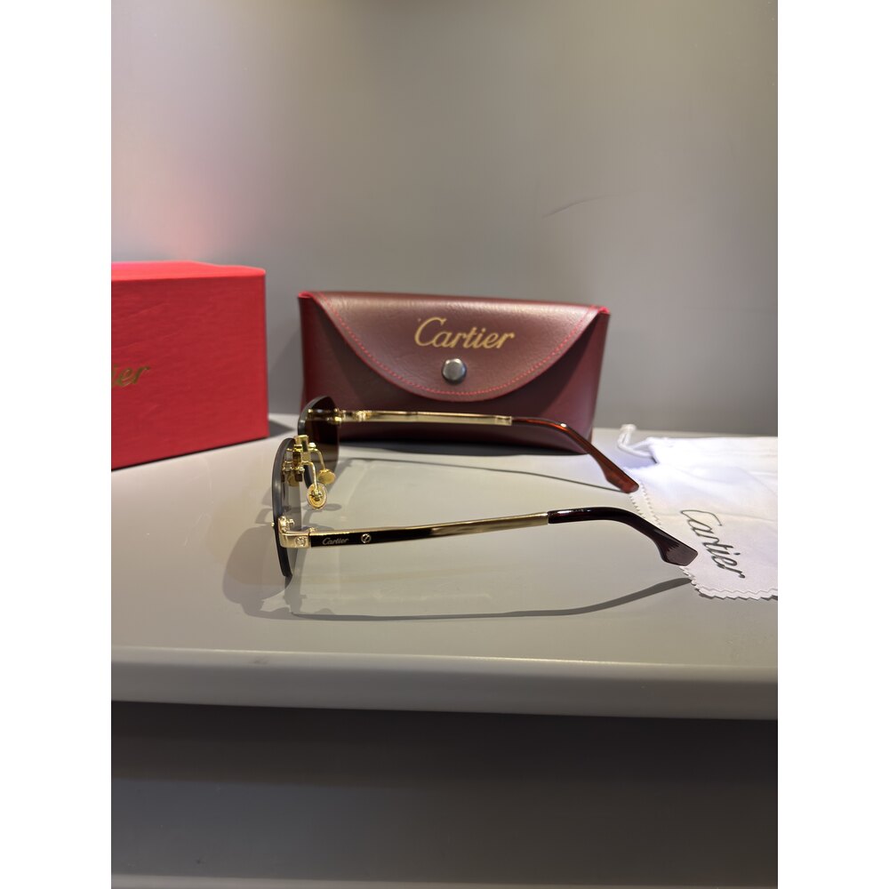 Cartier Gözlük Unisex
