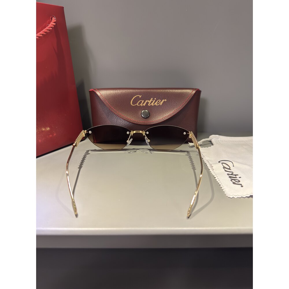 Cartier Gözlük Unisex