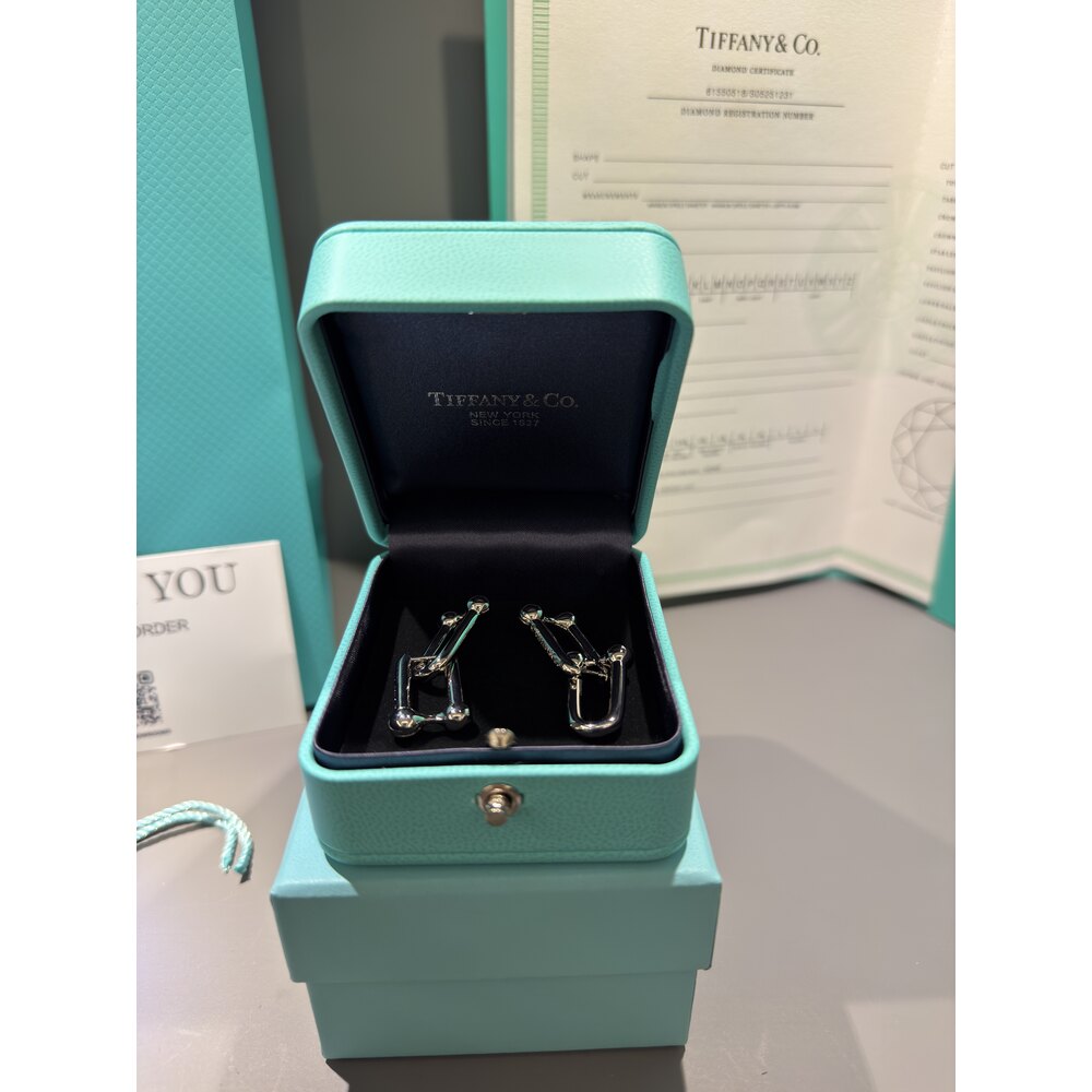 Tiffany Co Küpe