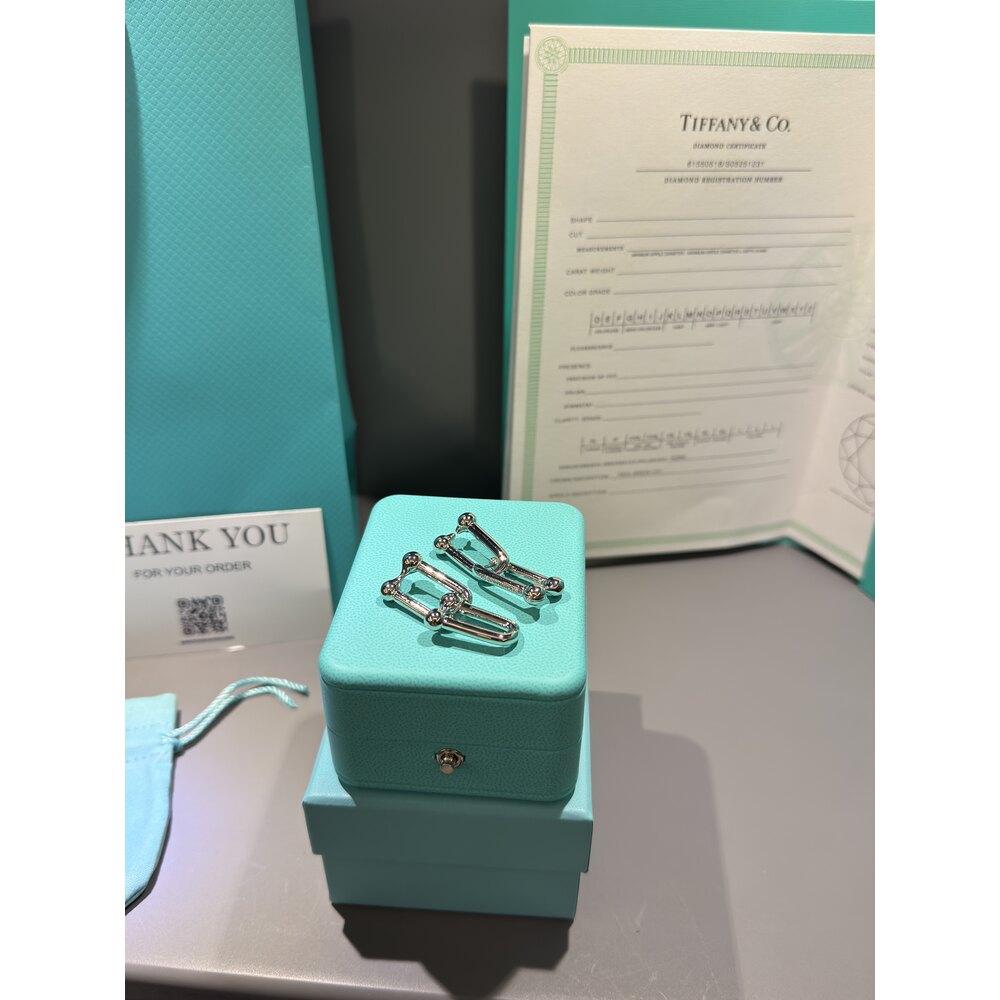 Tiffany Co Küpe