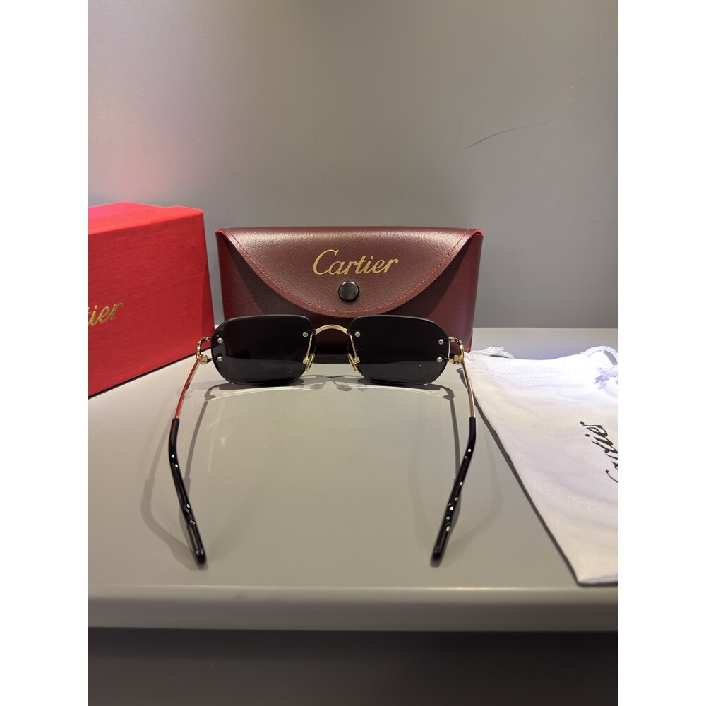 Cartier Gözlük Unisex