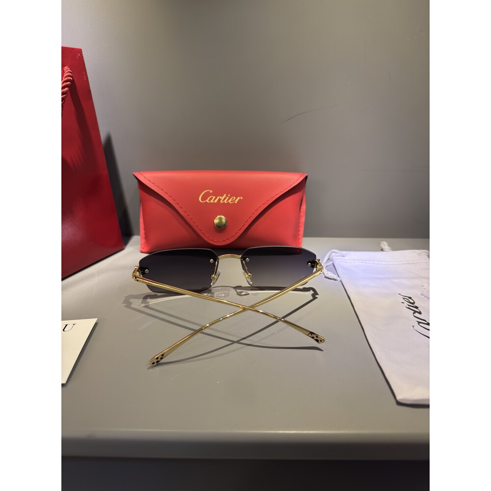 Cartier Gözlük Erkek