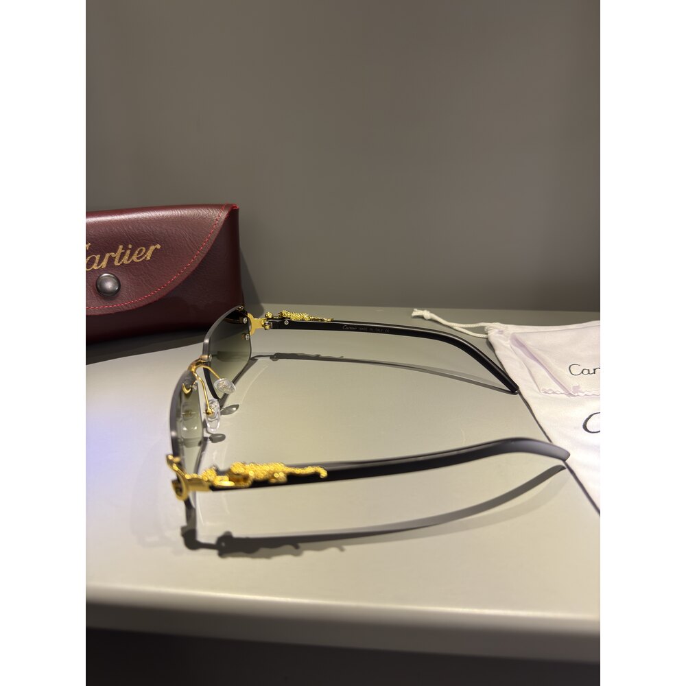 Cartier Gözlük Unisex