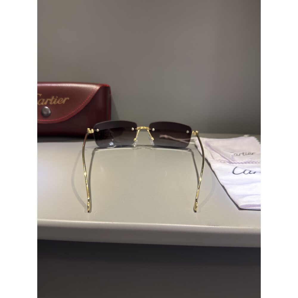 Cartier Gözlük Unisex