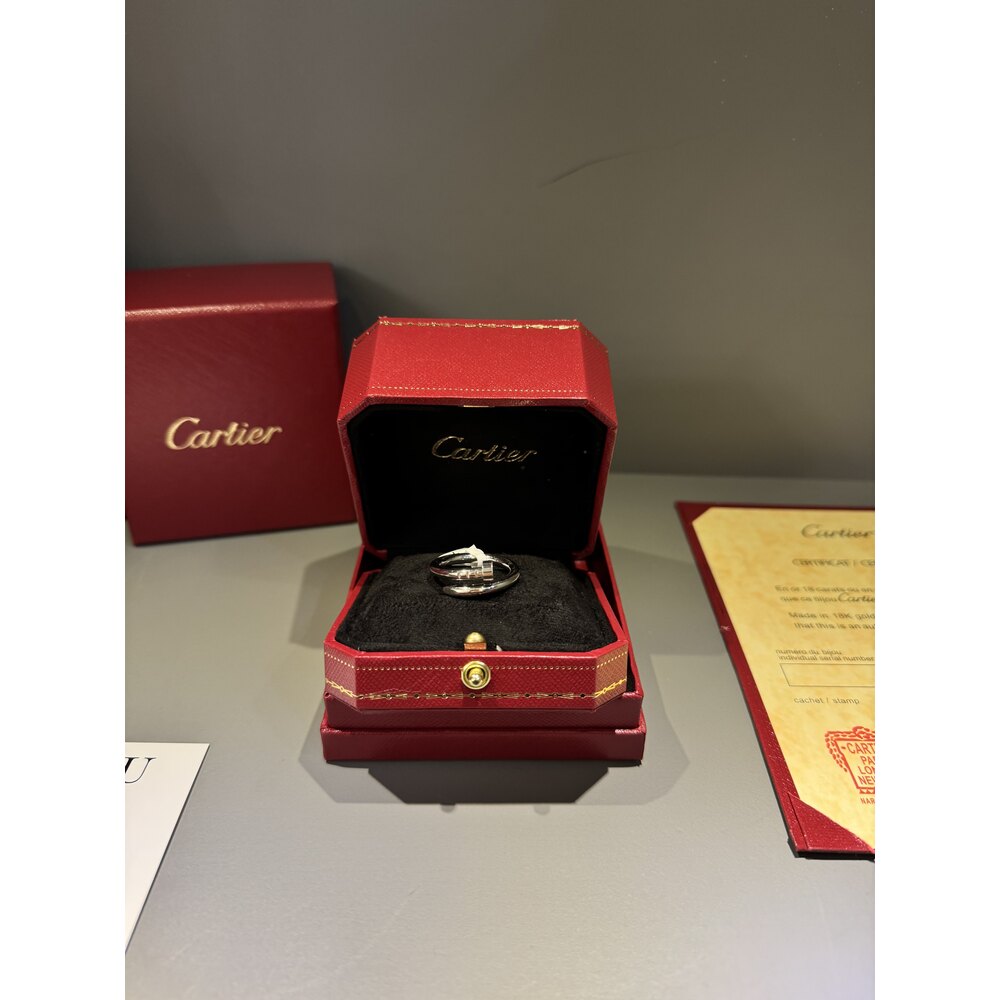 Cartier Unisex Yüzük ( Silver )