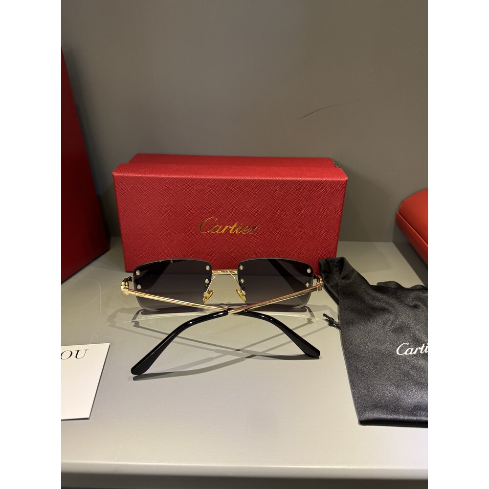 Cartier Gözlük Erkek