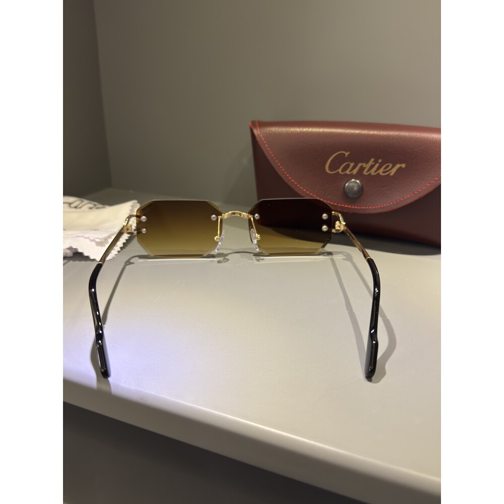 Cartier Gözlük Unisex