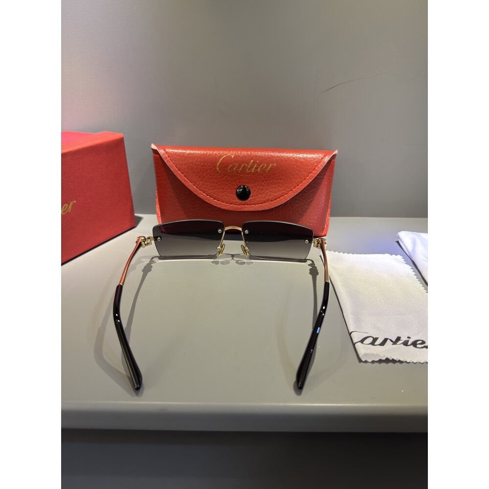 Cartier Gözlük Unisex