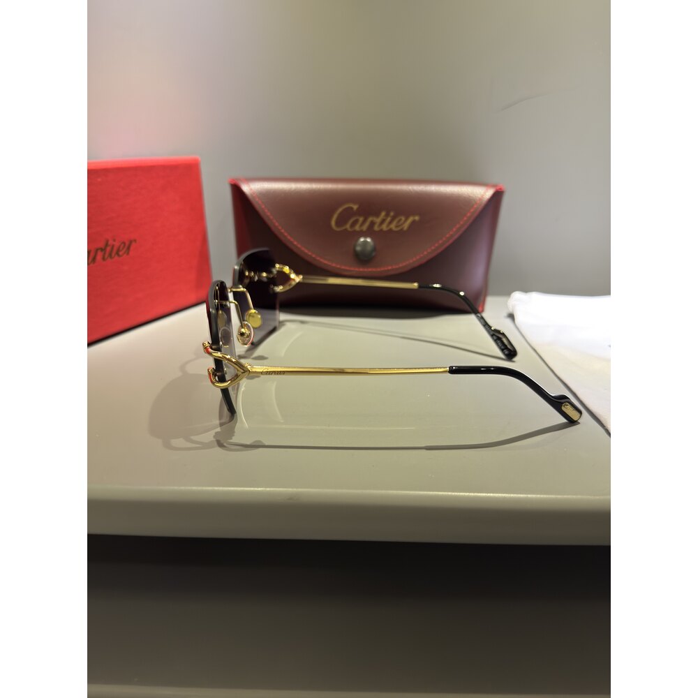Cartier Gözlük Unisex