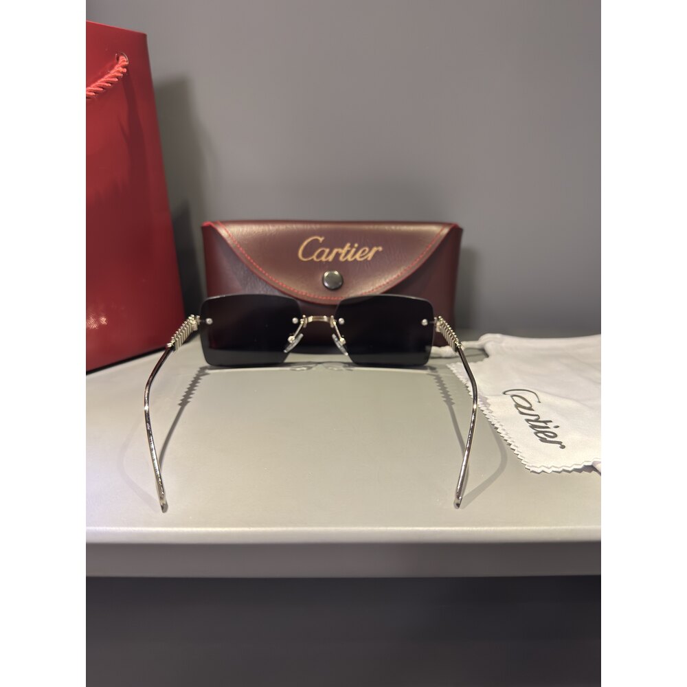 Cartier Gözlük Unisex