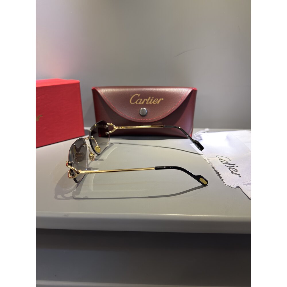 Cartier Gözlük Unisex