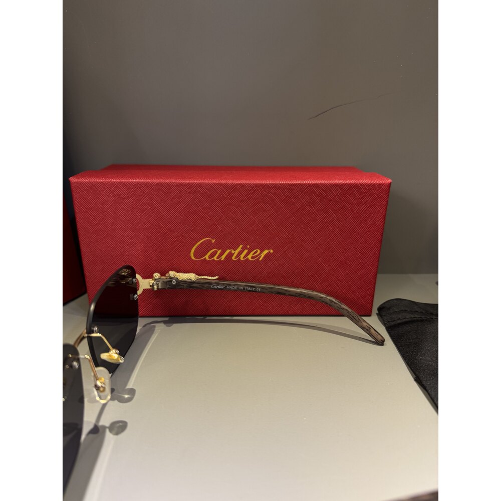 Cartier Gözlük Erkek