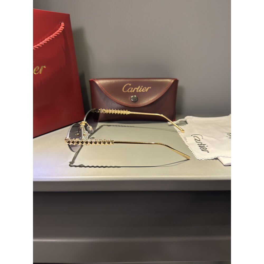Cartier Gözlük Unisex