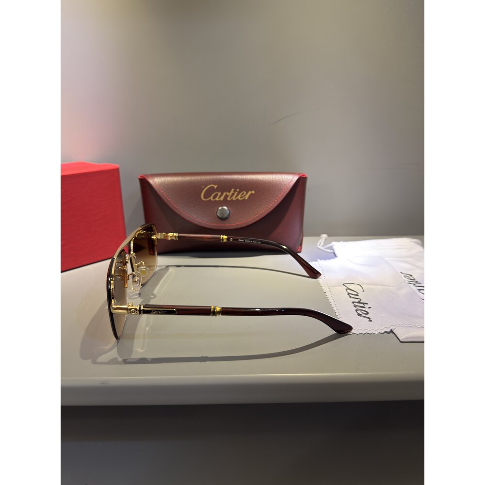Cartier Gözlük Erkek