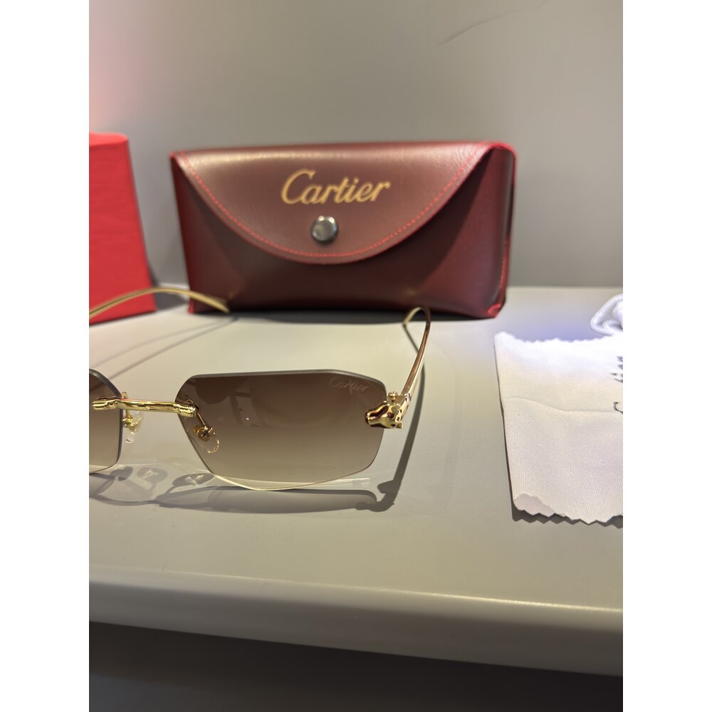 Cartier Gözlük Unisex