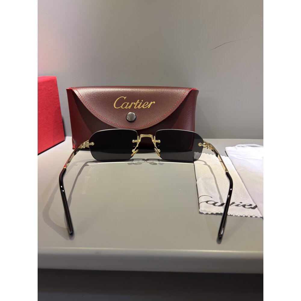 Cartier Gözlük Unisex