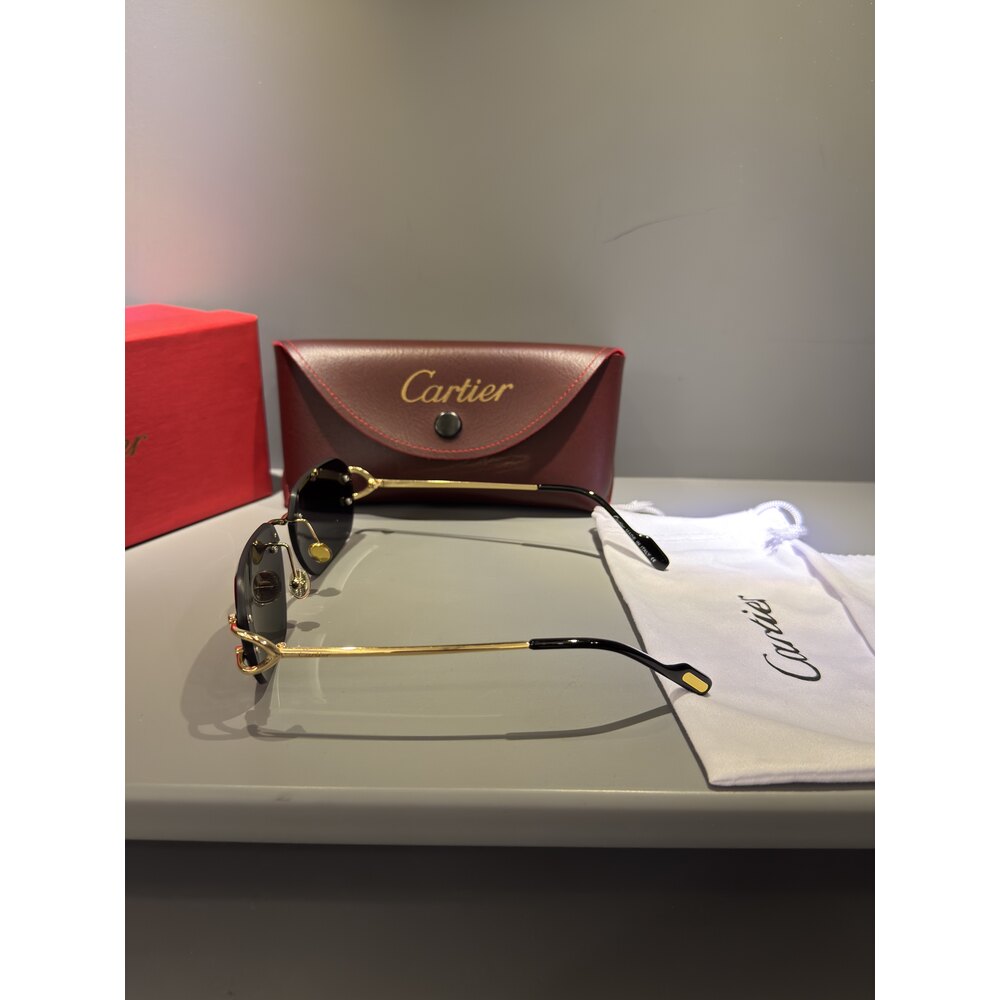 Cartier Gözlük Unisex