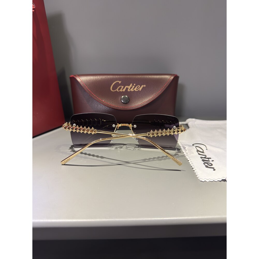 Cartier Gözlük Unisex ( Siyah Cam )