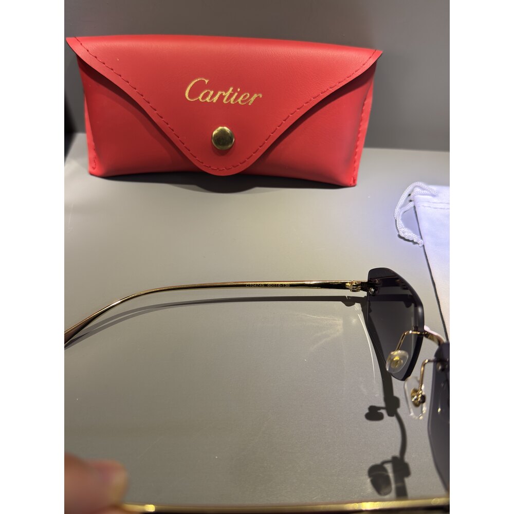 Cartier Gözlük Erkek