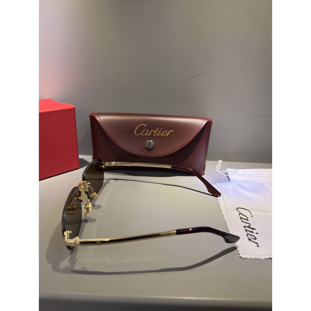 Cartier Gözlük Unisex