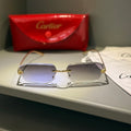 Cartier Panther’e  Unisex Güneş Gözlüğü