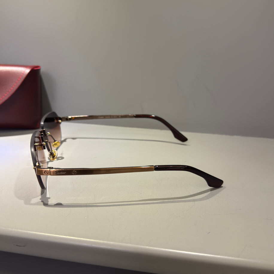 Cartier Unisex Gözlük (Özel Renk)