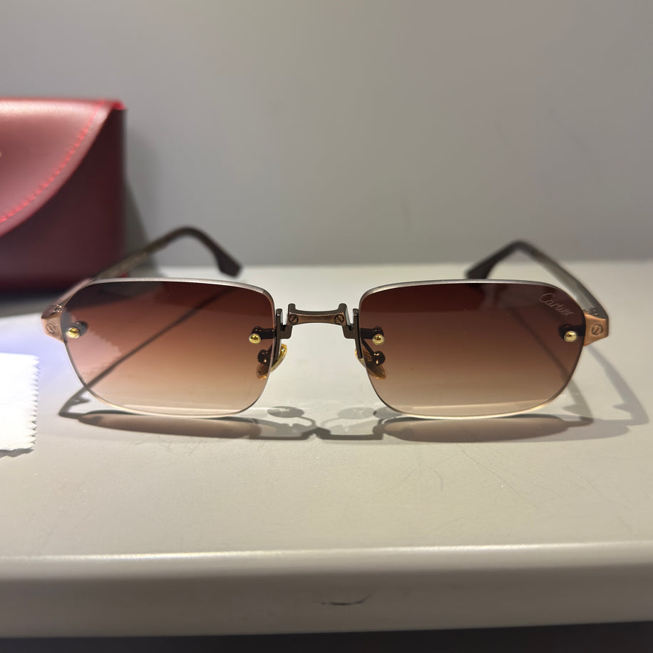 Cartier Unisex Gözlük (Özel Renk)
