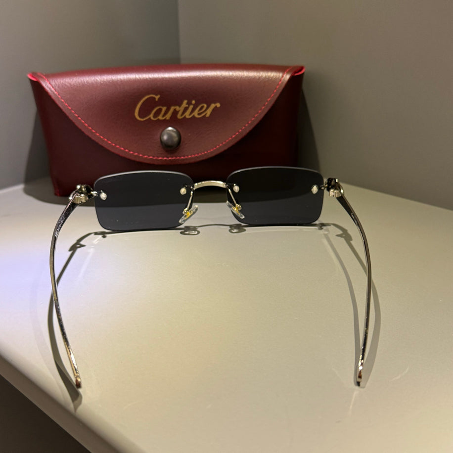 Cartier Unisex Gözlük