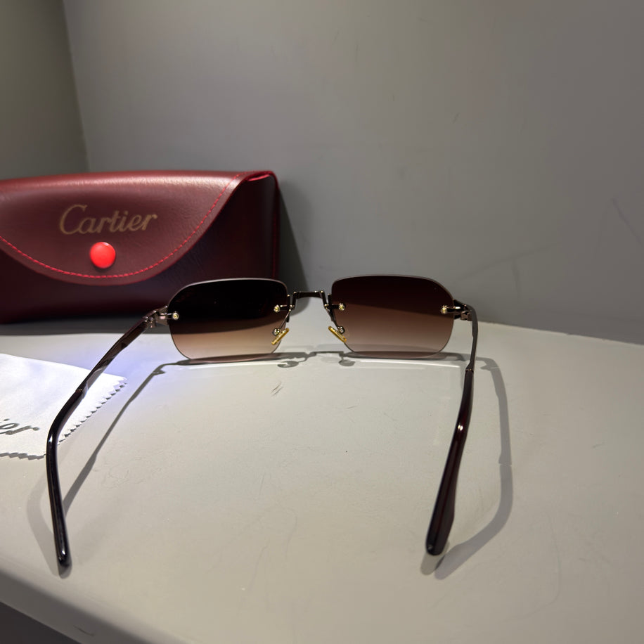 Cartier Unisex Gözlük (Özel Renk)