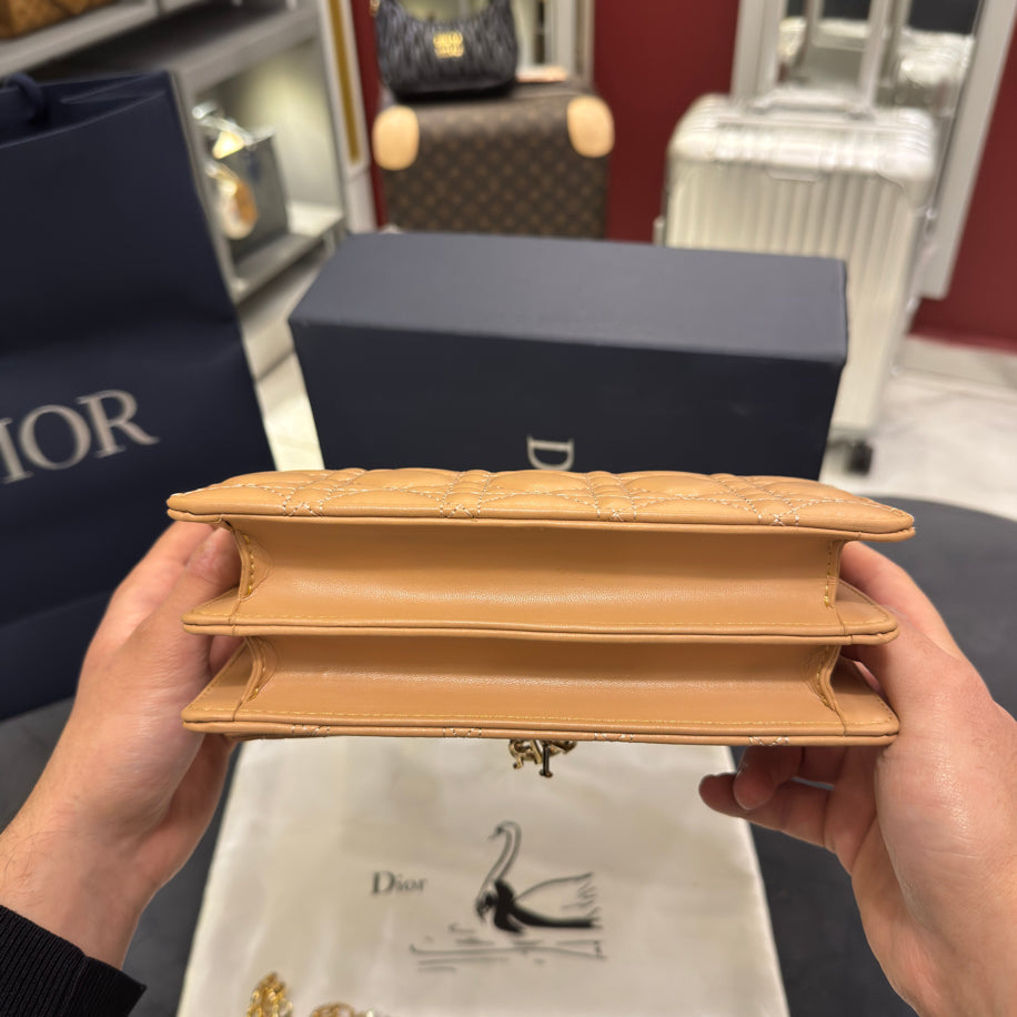 Christian Dior Bag