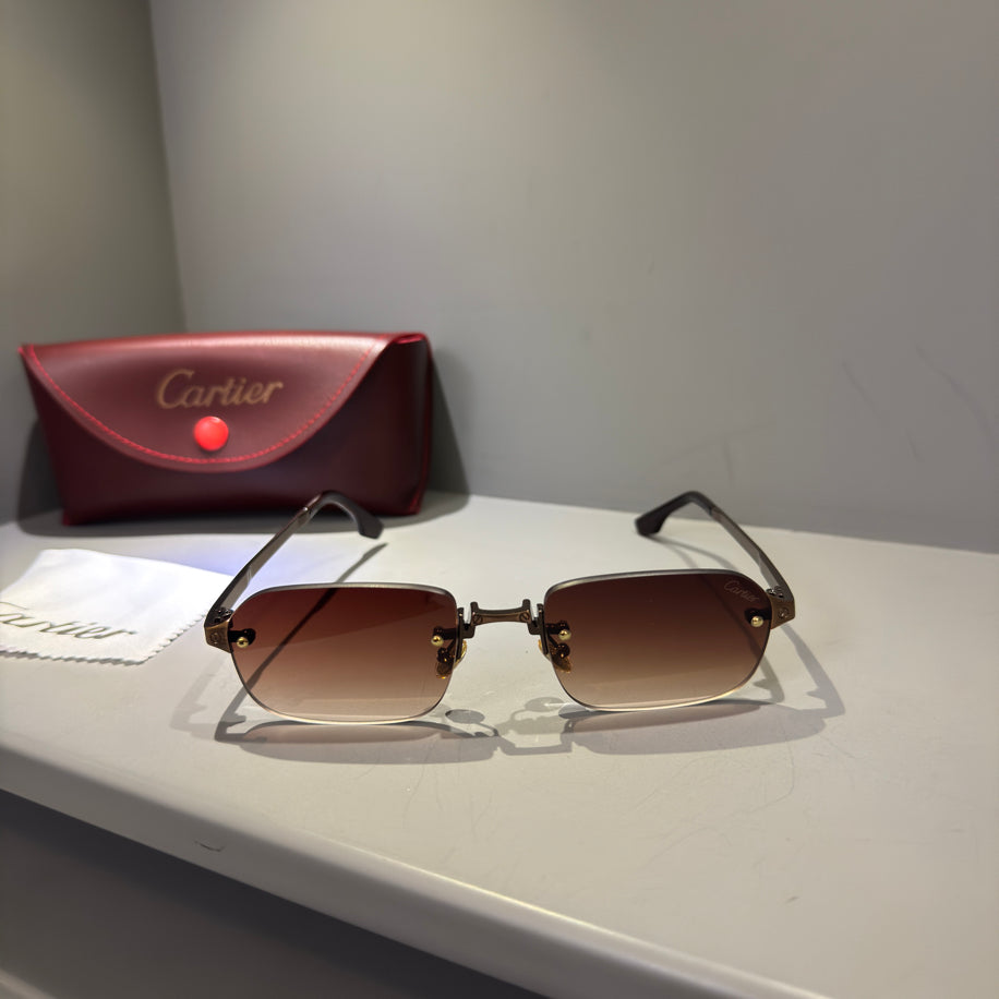 Cartier Unisex Gözlük (Özel Renk)