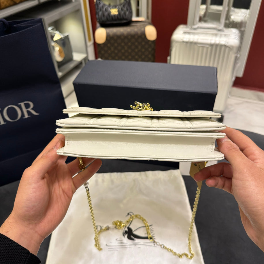 Christian Dior Bag