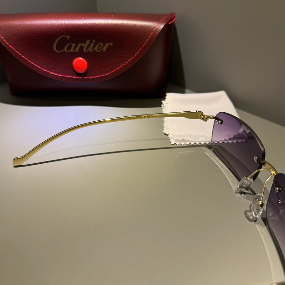 Cartier Unisex Gözlük