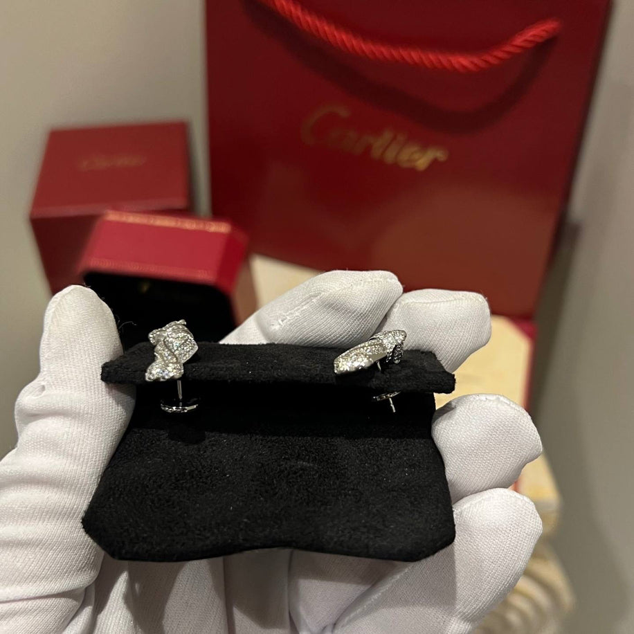 Cartier Full Taşlı (Silver) Küpe Özel Ürün